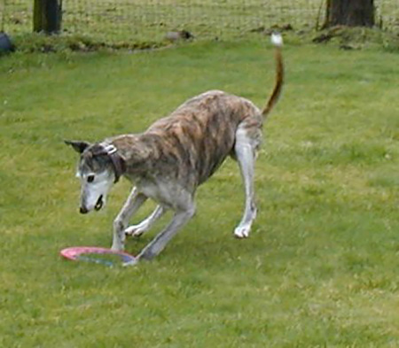 get1_edited-1