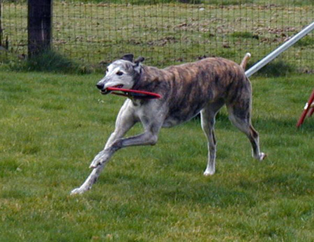 run1
