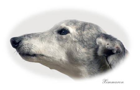 ximmaron031
